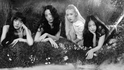 TERMS AND CONDITIONS